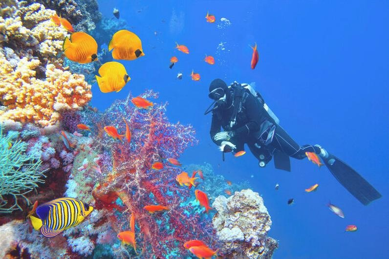 Alanya nad jakim morzem? Plaże i klimat Morza Śródziemnego