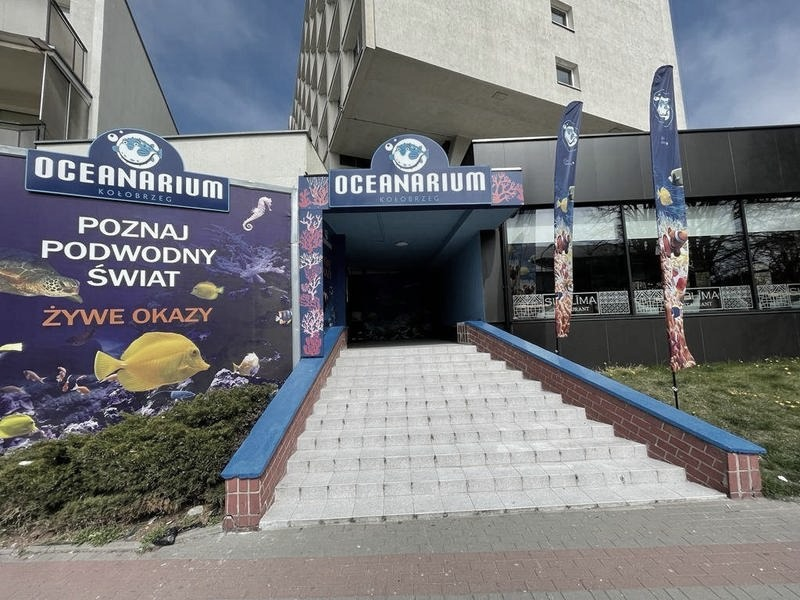 Ile kosztuje bilet do oceanarium w Kołobrzegu? Aktualne ceny i zniżki