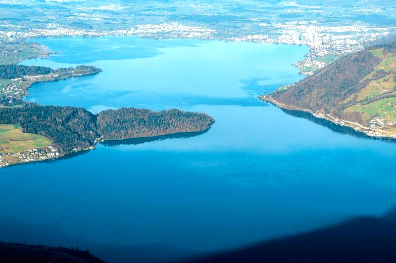 Ile ryb wolno wwieźć do Szwajcarii? Limity i zasady