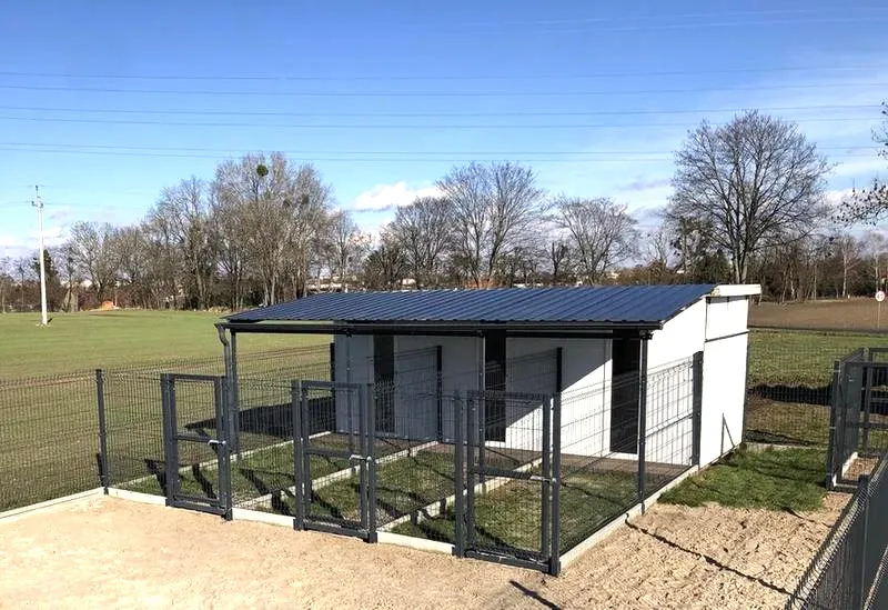 Jak założyć hotel dla psów i uniknąć pułapek w biznesie zoologicznym