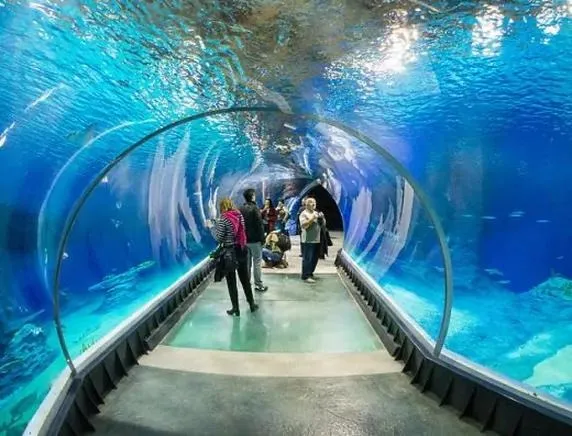 Oceanarium Kołobrzeg – opinie, ceny i czas zwiedzania. Czy warto?