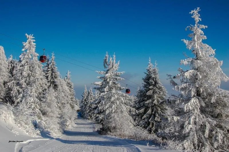 Urlop na czas ferii – jak dobrze zaplanować swoje wolne dni?