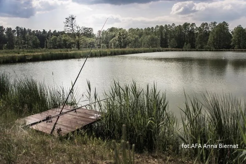 Agroturystyki z łowiskiem