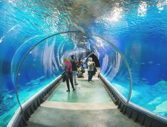 Atrakcje oceanarium
