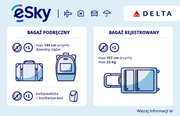 Bagaż rejestrowany