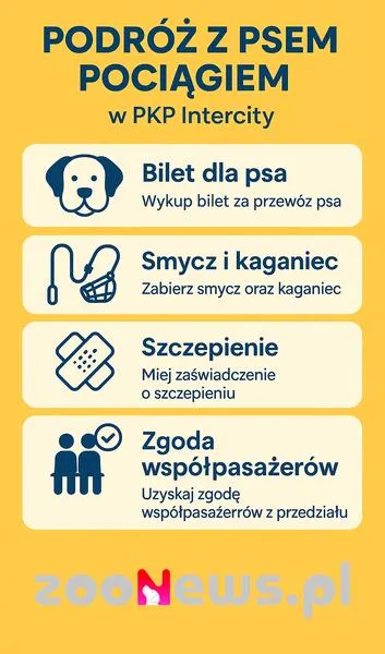 Bilet dla psa w PKP