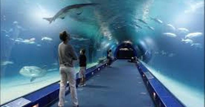 Cennik oceanarium Kołobrzeg