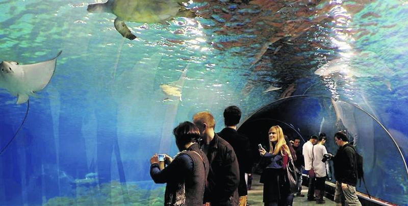Ceny biletów do oceanarium w Kołobrzegu