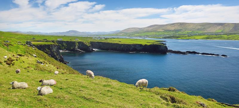 Czas lotu do Irlandii
