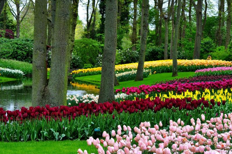 Czas przejazdu do Keukenhof