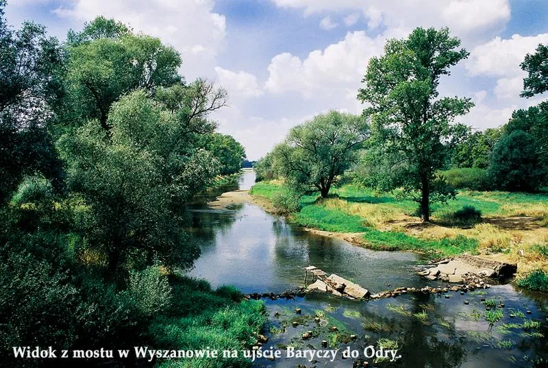 Ekosystem Odry