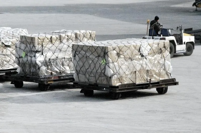 Kwiaty cięte transport