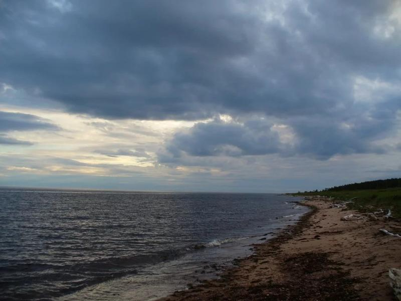 Północna Rosja