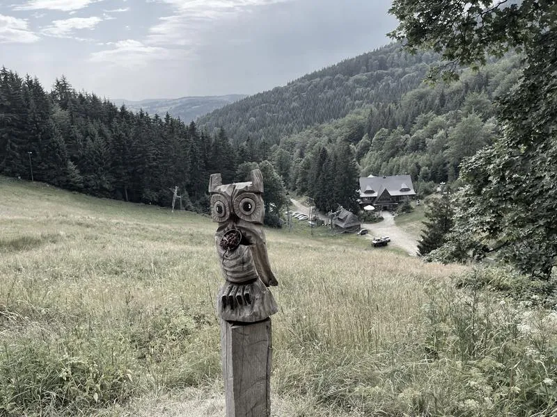 Wędrówki górskie