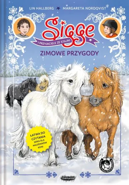 Zorganizowanie ferii w górach
